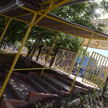 Hostel Belgrade Shungit Dragana Jeftica Br 10 エクステリア 写真