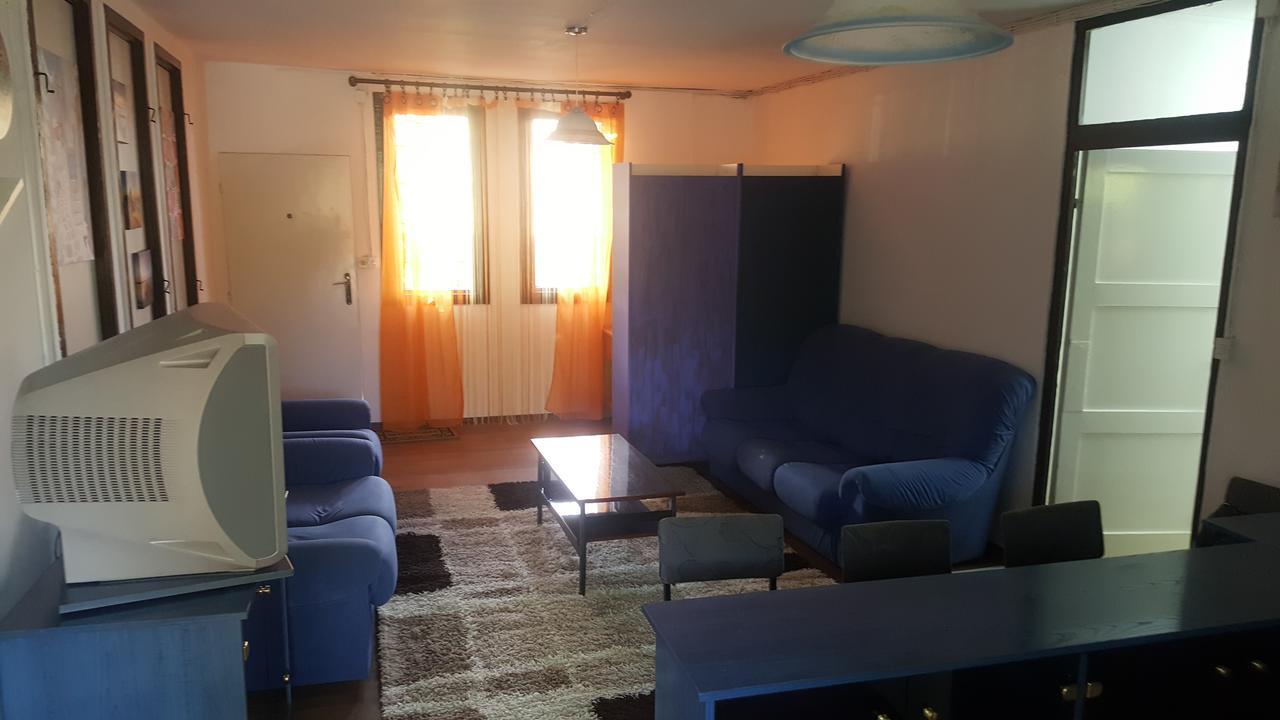 Hostel Belgrade Shungit Dragana Jeftica Br 10 エクステリア 写真