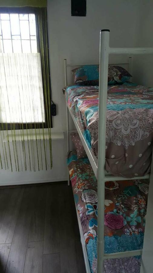 Hostel Belgrade Shungit Dragana Jeftica Br 10 エクステリア 写真