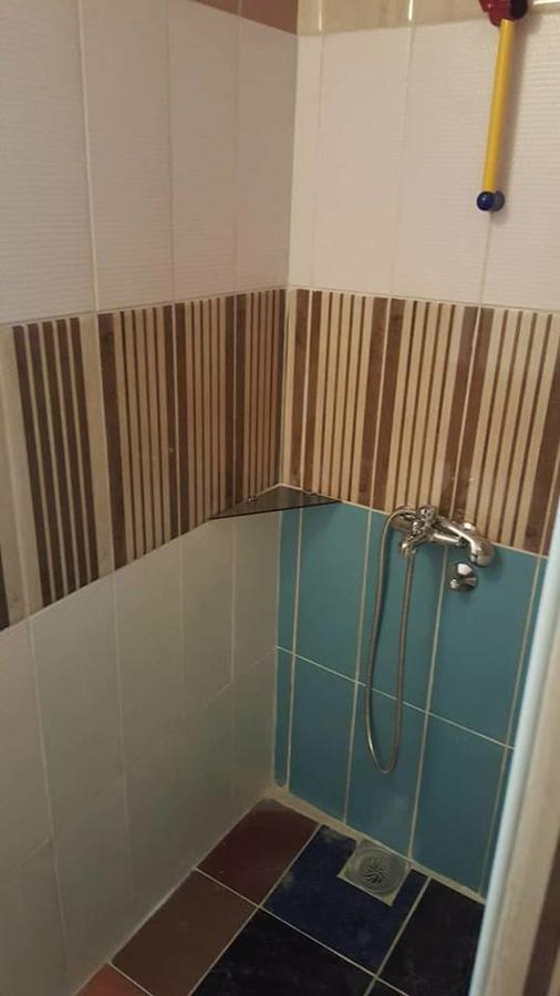 Hostel Belgrade Shungit Dragana Jeftica Br 10 エクステリア 写真
