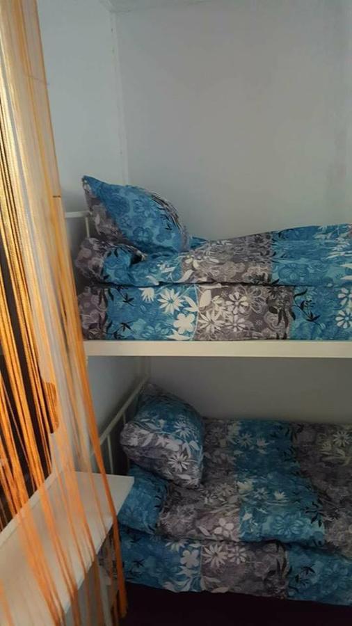 Hostel Belgrade Shungit Dragana Jeftica Br 10 エクステリア 写真