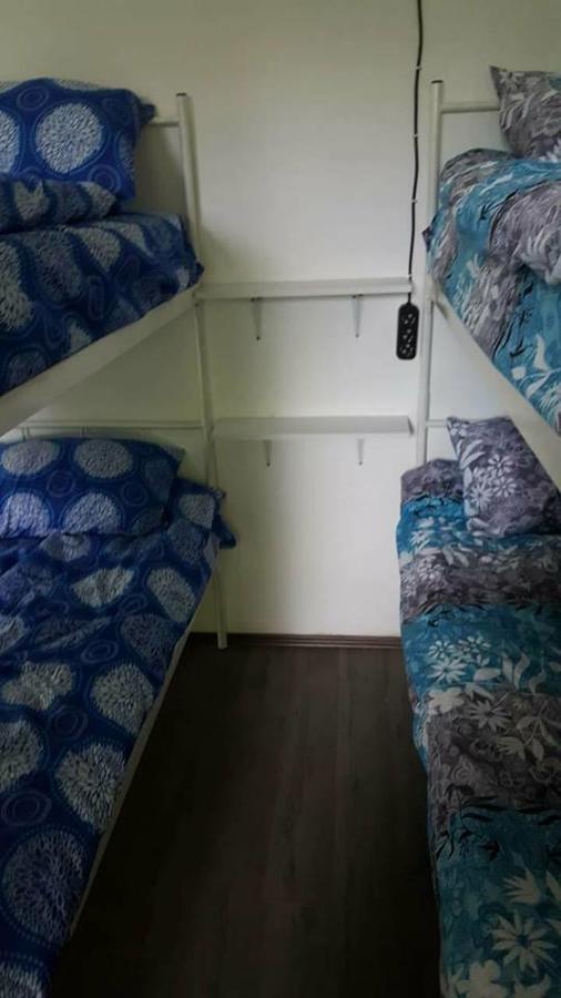 Hostel Belgrade Shungit Dragana Jeftica Br 10 エクステリア 写真
