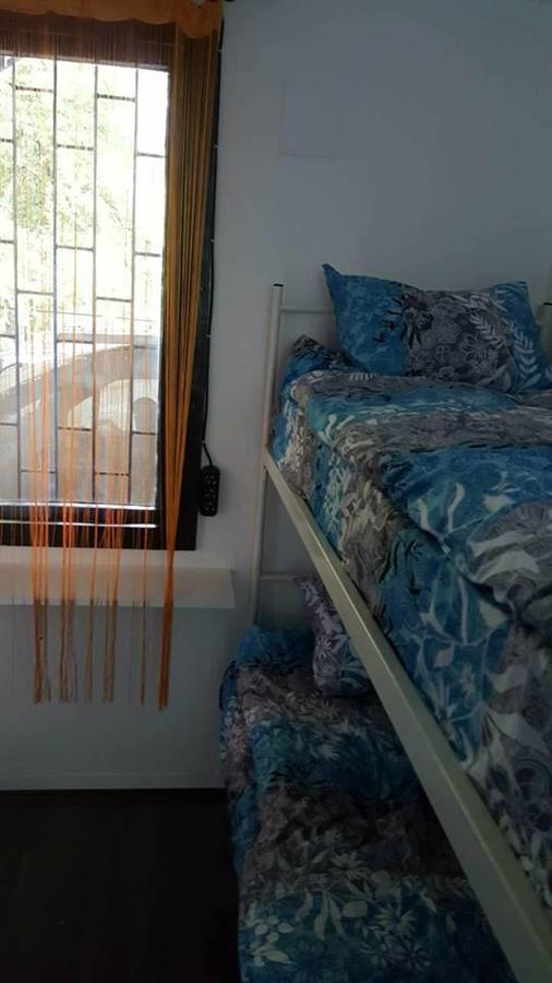Hostel Belgrade Shungit Dragana Jeftica Br 10 エクステリア 写真