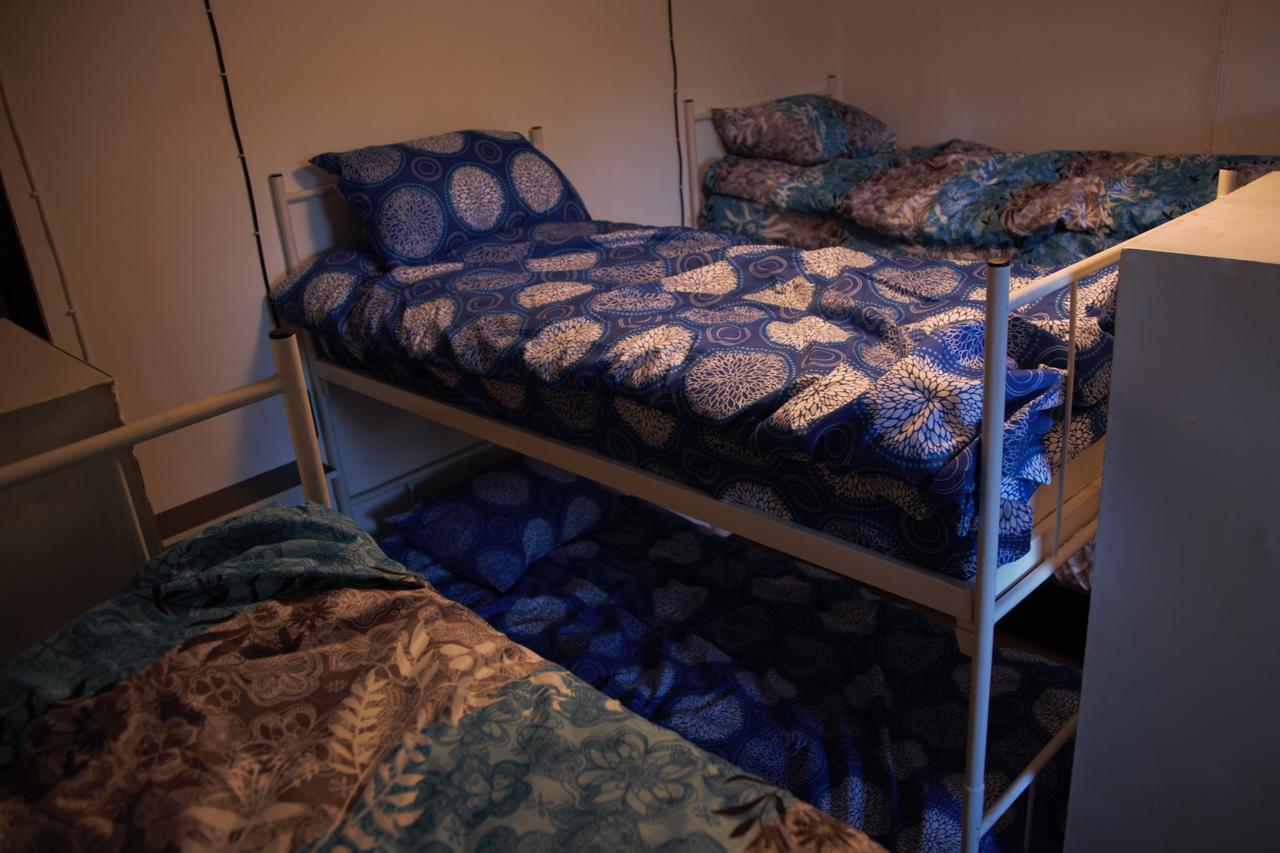 Hostel Belgrade Shungit Dragana Jeftica Br 10 エクステリア 写真