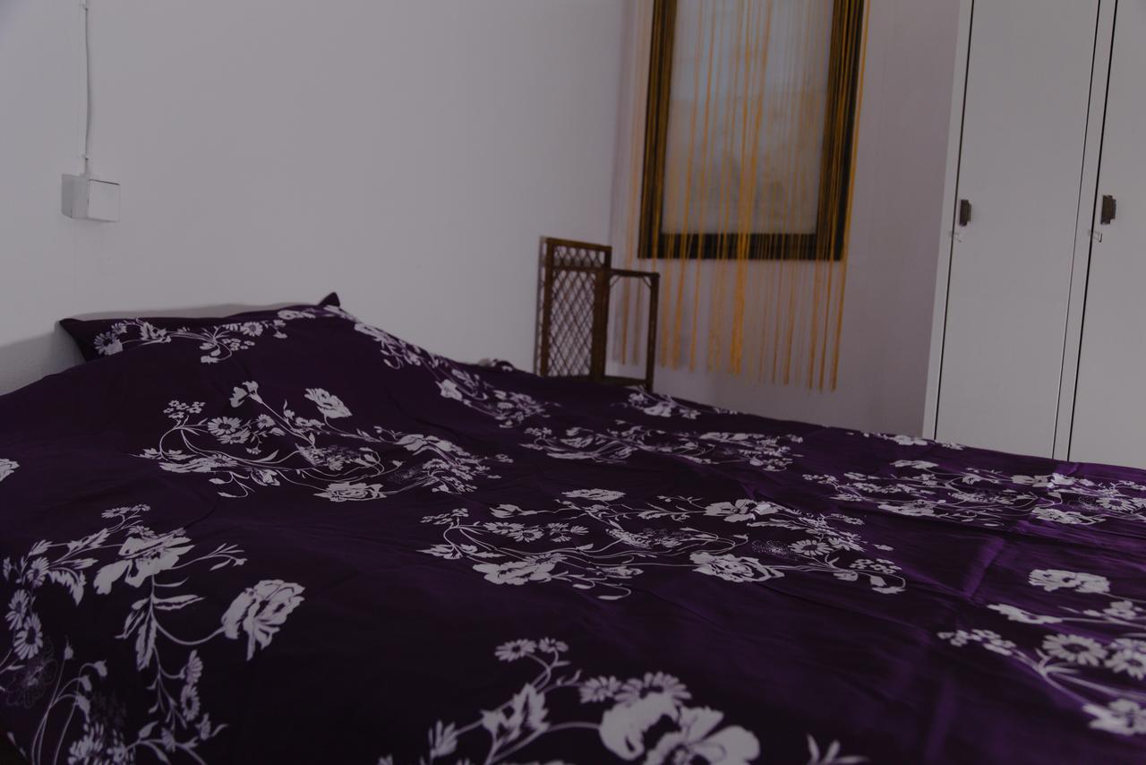 Hostel Belgrade Shungit Dragana Jeftica Br 10 エクステリア 写真