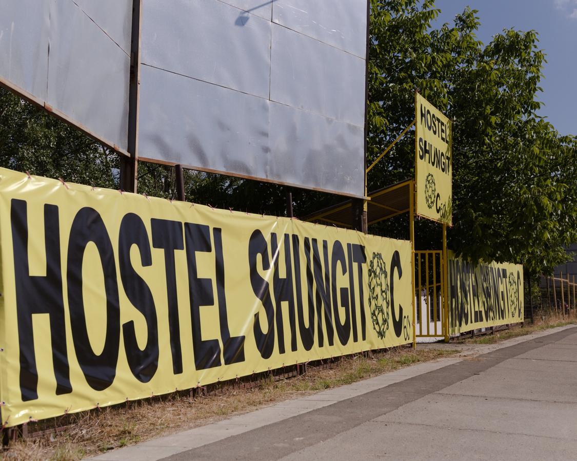 Hostel Belgrade Shungit Dragana Jeftica Br 10 エクステリア 写真