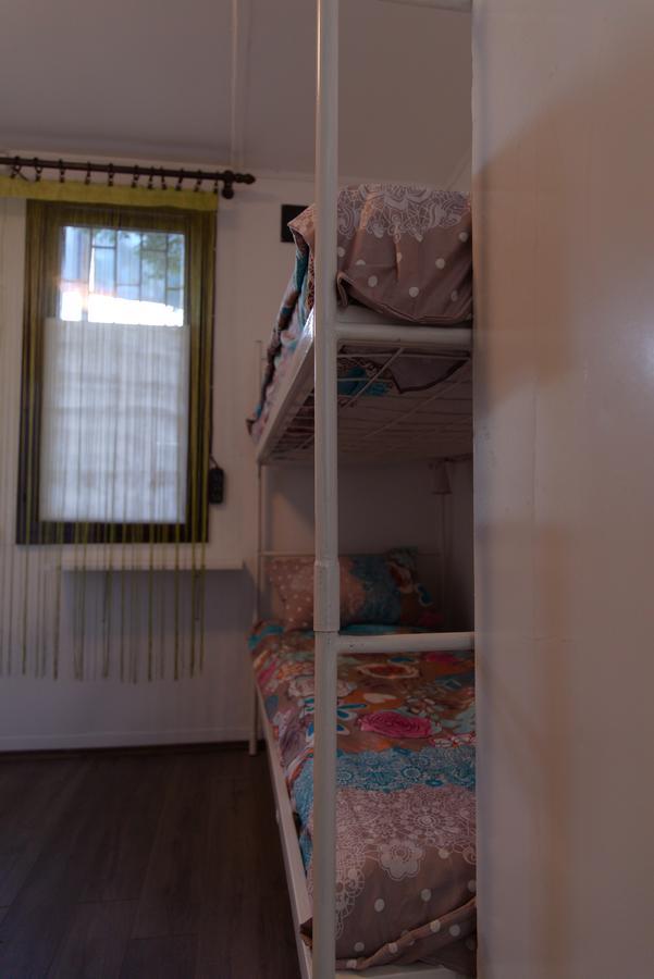 Hostel Belgrade Shungit Dragana Jeftica Br 10 エクステリア 写真