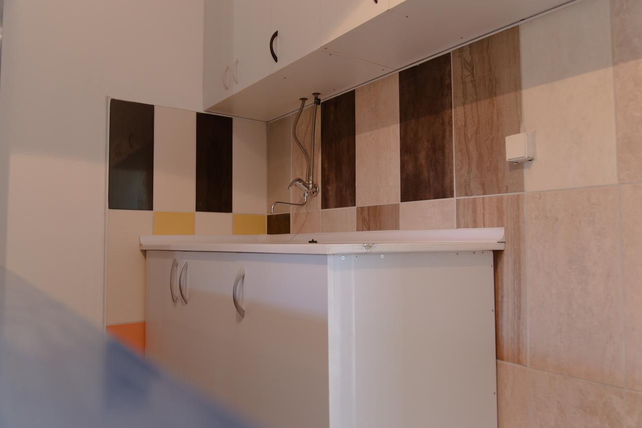Hostel Belgrade Shungit Dragana Jeftica Br 10 エクステリア 写真