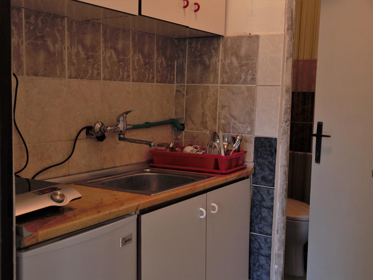 Hostel Belgrade Shungit Dragana Jeftica Br 10 エクステリア 写真