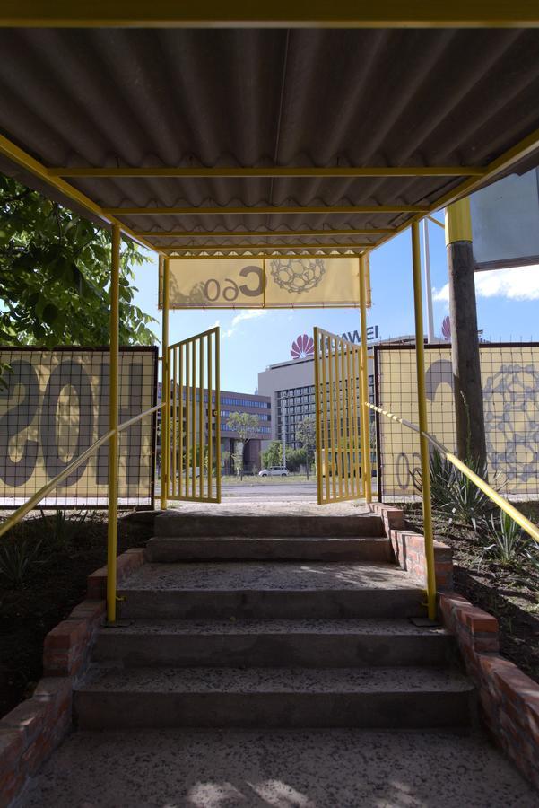 Hostel Belgrade Shungit Dragana Jeftica Br 10 エクステリア 写真