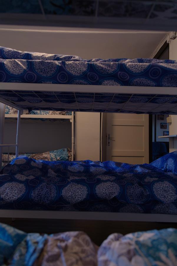 Hostel Belgrade Shungit Dragana Jeftica Br 10 エクステリア 写真